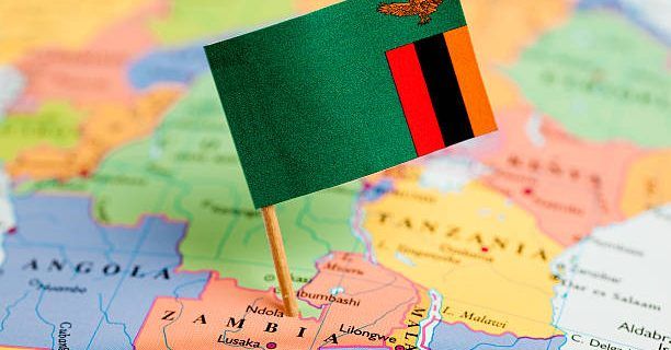 The Permanent Olive Branch: Zambia's 2026 Voluntary Disclosure Programme