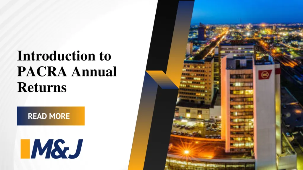 PACRA Annual Returns 101. What Are They And Why Are They Important?
